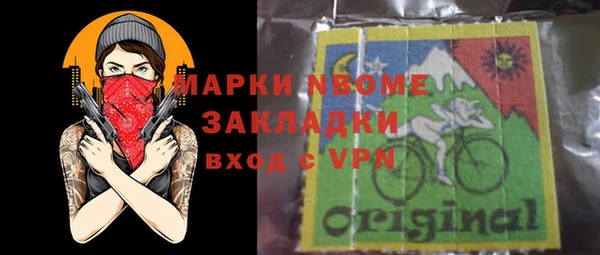 хмурый Алексин