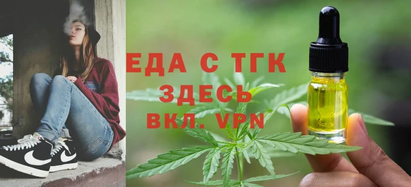 хмурый Алексин