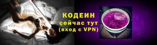 хмурый Алексин