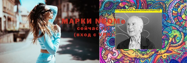 хмурый Алексин