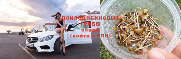 бошки Алексеевка