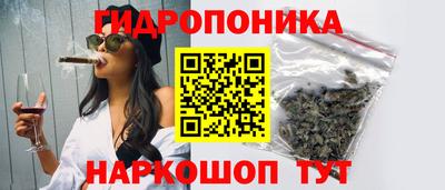 тгк Братск